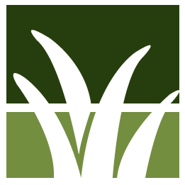 Brush Collection Service Pros