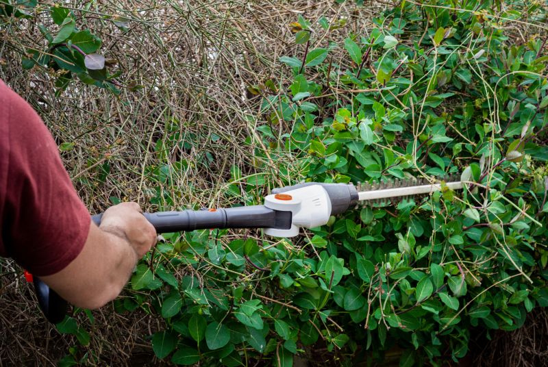 Efficient Hedge Trimming