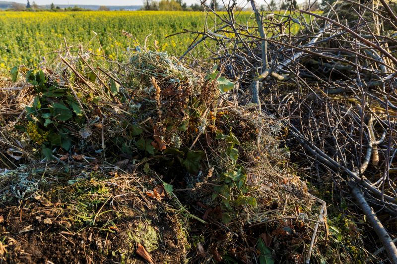 Brush Collection in Use