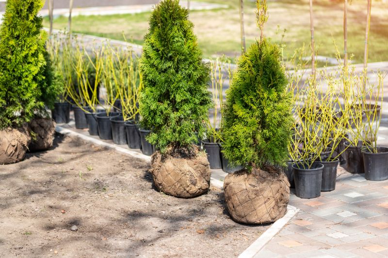 Bush Planting Service in Honolulu, HI
