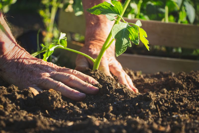 Garden Maintenance Service in Honolulu, HI