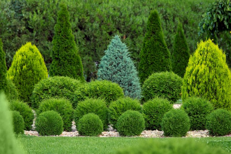 Landscape Planting Service in Ventura County, CA