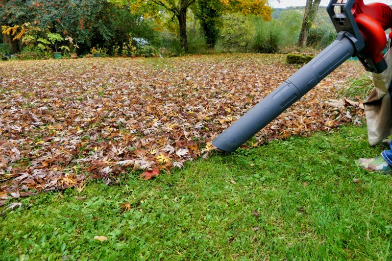 Leaf Cleanup Service in Honolulu, HI