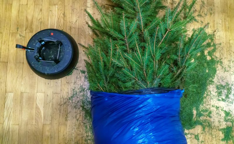 Leaf Cleanup Service in Honolulu, HI