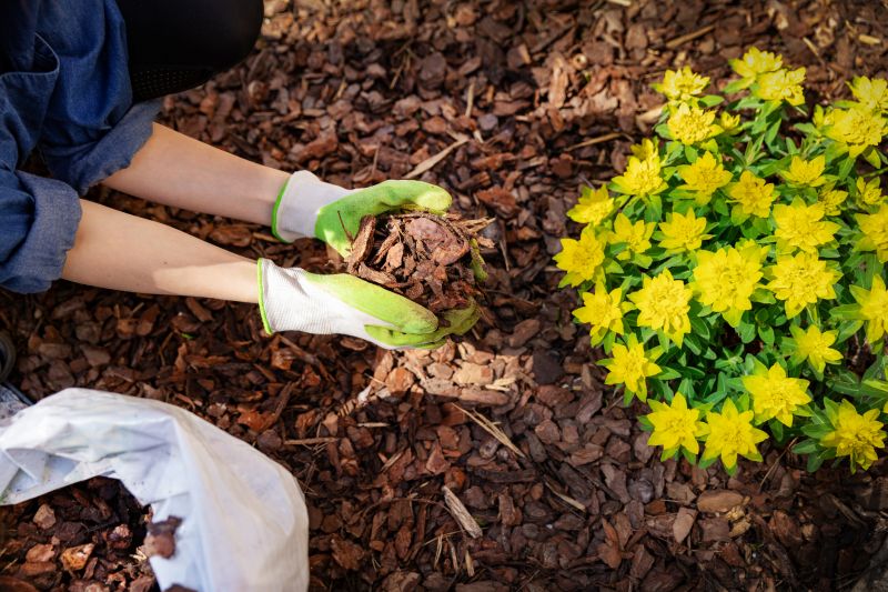 Residential Mulching in Honolulu, HI