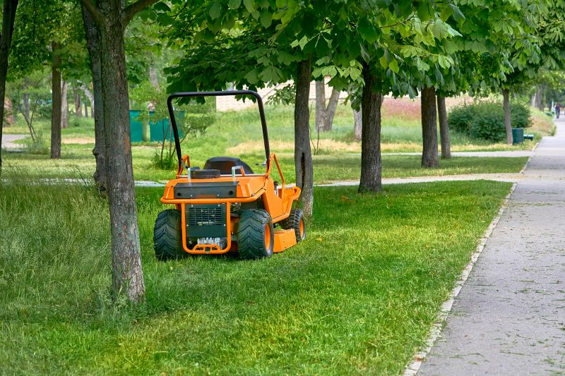 Seasonal Lawn Maintenance in Honolulu, HI