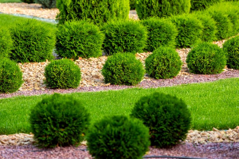 Shrub Replacement in Ventura County, CA