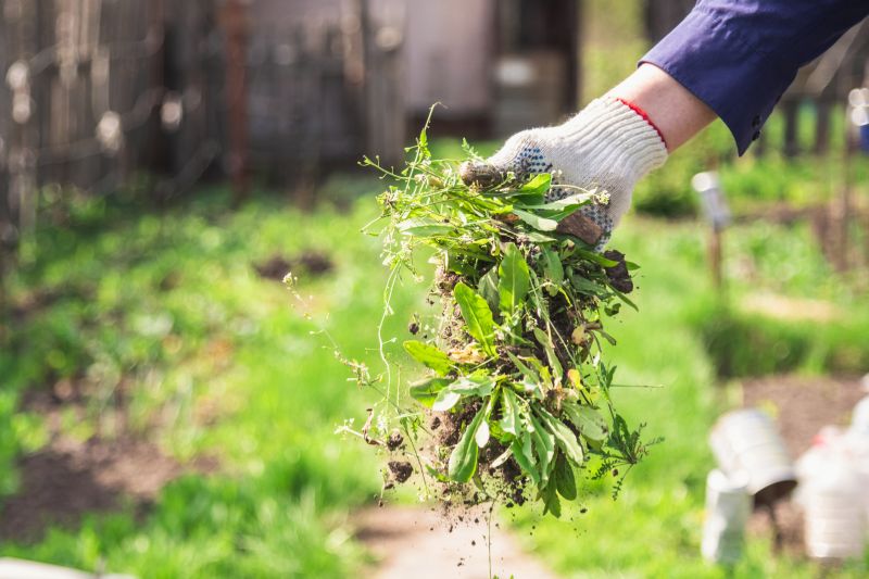 Spring Garden Maintenance in Ventura County, CA