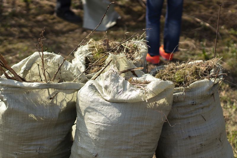 Contact About Brush Collection